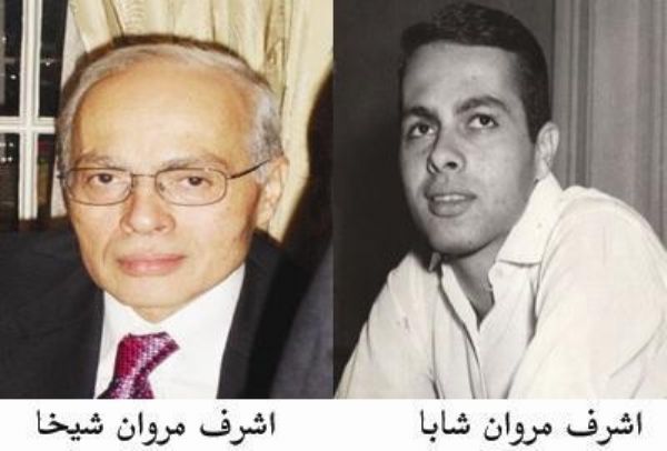 منى عبد الناصر, اشرف مروان